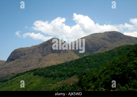 La grande montagne protégeant les vallées verdoyantes de Munnar, Kerala Banque D'Images