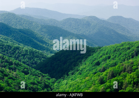 Vue sur forêt de Newfound Gap, Great Smoky Mountains National Park, California, USA Banque D'Images