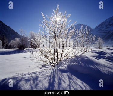 - Winterscene AU TYROL : près de Gruissan Banque D'Images