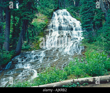 Parapluie tombe dans Oregon USA Banque D'Images