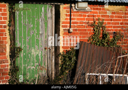 Porte verte sur une ancienne grange en brique rouge avec une feuille de tôle ondulée située contre le mur couvert de lierre Banque D'Images