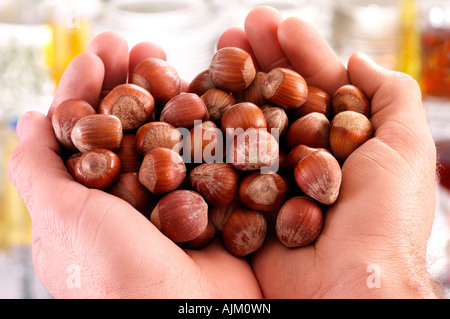 Mains TENANT LES NOISETTES Banque D'Images