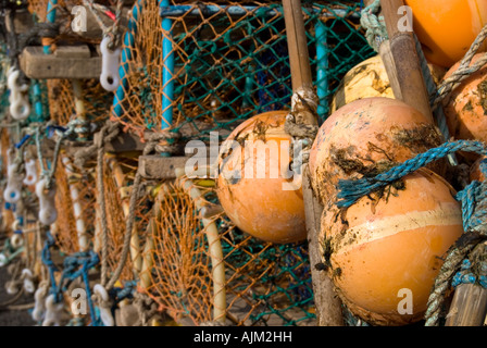 Des casiers à homard à Eyemouth Harbour Banque D'Images