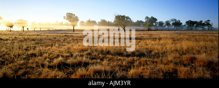 L'herbe givrée et couches de brouillard sont hilighted par le soleil levant comme un nouveau jour se lève sur les pâturages, Armidale NSW Australie Banque D'Images