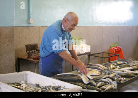 Vieil homme vendant du poisson au marché local Silves Algarve Portugal Banque D'Images