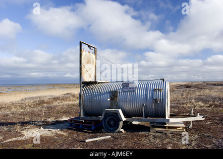 L'ours polaire (Ursus maritimus), Polar Bear Trap, Canada, Manitoba Banque D'Images