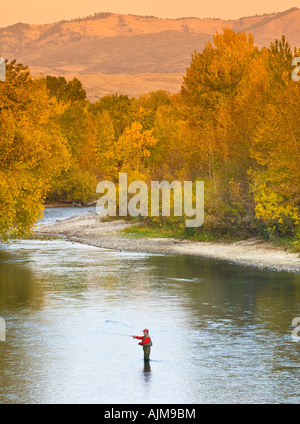 Un pêcheur de Boise IDAHO patauge dans la rivière boise sur une soirée d'automne colorés Banque D'Images