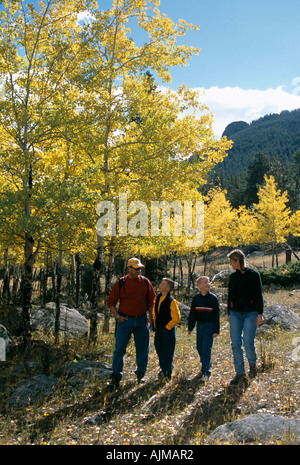 Une famille de quatre randonnées au milieu de la couleur de l'automne dans la région de Rocky Mtns de CO Banque D'Images