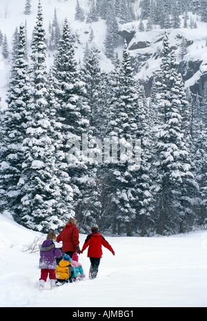 Famille s'amusant dans la neige fraîche tout en traîneau à chiens Rocky Mtns CO Banque D'Images