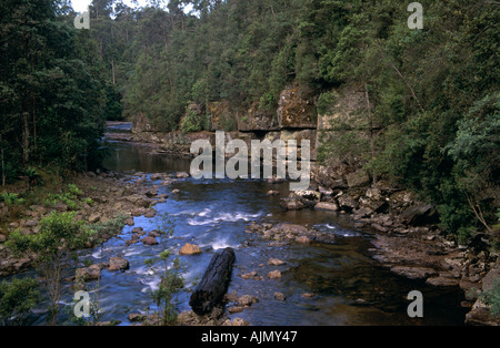 La rivière Styx, Tasmanie, Australie Banque D'Images