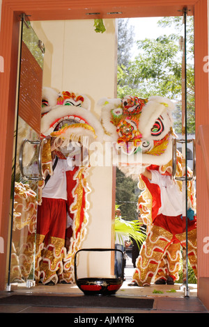 Effectuer les Malaisiens chinois Danse du lion Style du Sud sur le nouvel an chinois. Batu Ferringhi, l'île de Penang, en Malaisie. Banque D'Images