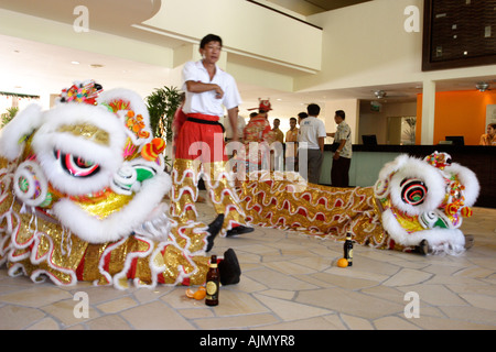 Effectuer les Malaisiens chinois Danse du lion Style du Sud sur le nouvel an chinois. Batu Ferringhi, l'île de Penang, en Malaisie. Banque D'Images