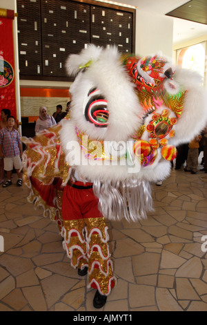 Effectuer les Malaisiens chinois Danse du lion Style du Sud sur le nouvel an chinois. Batu Ferringhi, l'île de Penang, en Malaisie. Banque D'Images