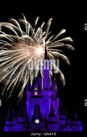 Le château de Magic Kingdom de nuit avec 'voeux' la nuit, feu d'artifice Orlando Floride usa Amérique du Walt Disney World Resort Banque D'Images