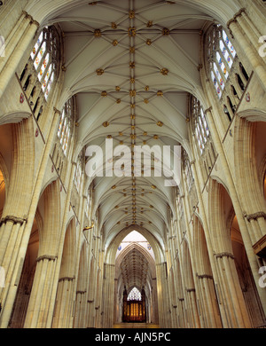 Intérieur de la cathédrale de York Yorkshire Angleterre UK Banque D'Images