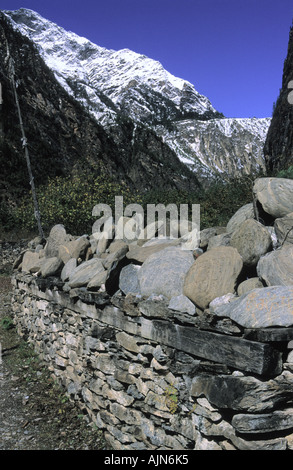 Les mantras bouddhistes et écrits sacrés sur des pierres à Chame environs zone de conservation de l'Annapurna au Népal Banque D'Images