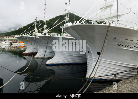 Bateaux de pêche au port de Rausu à côté du Parc National de Shiretoko Hokkaïdo Japon Banque D'Images