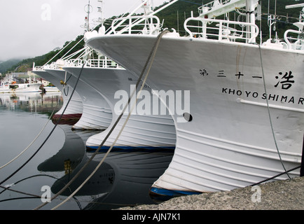 Bateaux de pêche au port de Rausu à côté du Parc National de Shiretoko Hokkaïdo Japon Banque D'Images