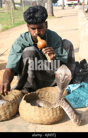 Snakecharmer un dans les rues de Colombo, Sri Lanka. Il est charmant un cobra à lunettes. Banque D'Images