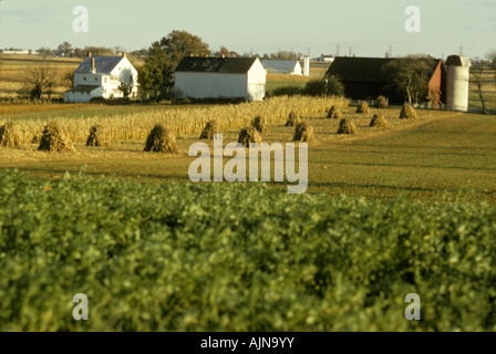 Amish farm comté de Lancaster PA Pennsylvania de récolte d'automne de tiges de maïs grange silo de scène Banque D'Images