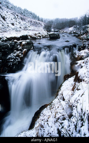 Severn-break-c'est-cou (cascade de Hafren torri-gwddf). La forêt de Hafren près de Llanidloes, Powys, au Royaume-Uni. Banque D'Images