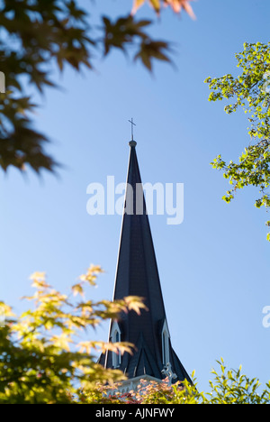 Spirale de l'église parmi le feuillage des arbres Banque D'Images