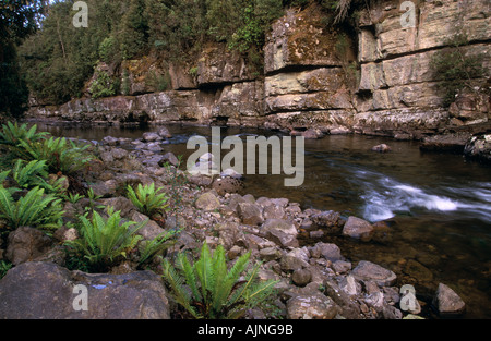 La rivière Styx, Tasmanie, Australie Banque D'Images