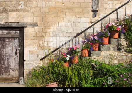 Jolies Fleurs d'été dans des pots sur les mesures à Barton Farm Country Park Bradford on Avon Wiltshire, Angleterre Banque D'Images