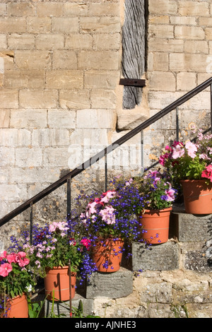 Jolies Fleurs d'été dans des pots sur les mesures à Barton Farm Country Park Bradford on Avon Wiltshire, Angleterre Banque D'Images