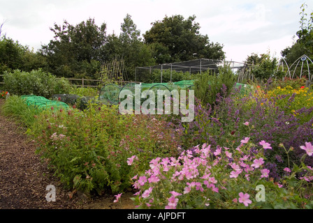 Un tableau de fleurs de jardin à jardin bio, Ryton, warwickshire Banque D'Images