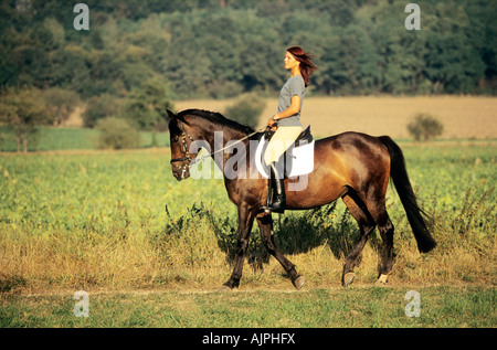 Jeune femme avec un cheval Banque D'Images