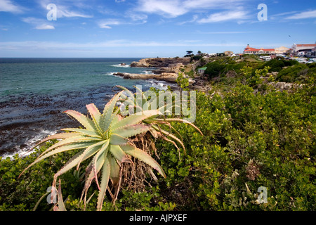 Western Cape Afrique du Sud Côte d'Hermanus Banque D'Images