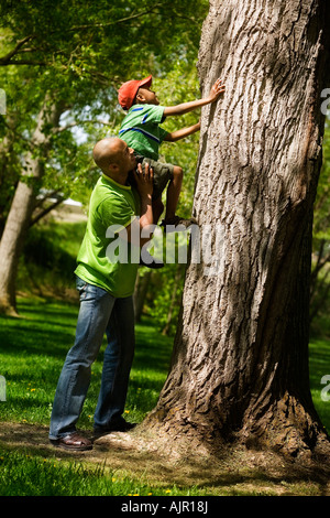 Père Fils aidant à monter sur l'arbre Banque D'Images