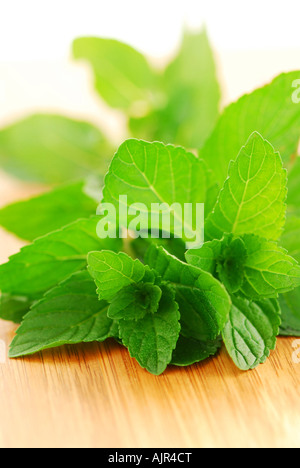 Feuilles de menthe sur planche à découper en bois libre Banque D'Images