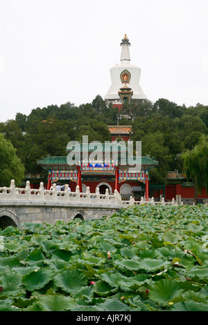 Le Dagoba blanc sur l'îlot de Jade dans le parc Beihai Beijing Chine Banque D'Images