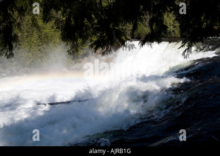 Dawson Falls, parc provincial Wells Gray, British Columbia, Canada Banque D'Images