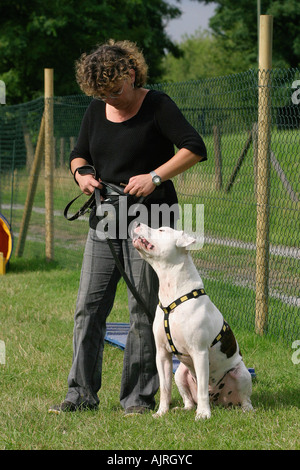 Femme avec American Staffordshire Terrier Allemagne Banque D'Images