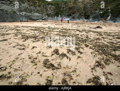 Woolacombe, North Devon , Roches sur plage à marée basse, Royaume-Uni, Europe Banque D'Images