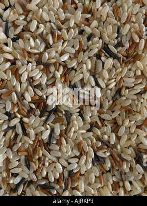 Les riz à grains entiers mixtes - haut de gamme image numérique Hasselblad 61Mo Banque D'Images