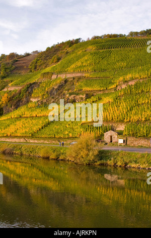 Vignes à l'automne sur la Moselle Banque D'Images