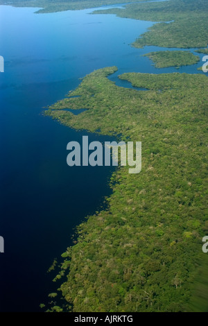 Les forêts tropicales inondées vue aérienne Amazonas Brésil Banque D'Images