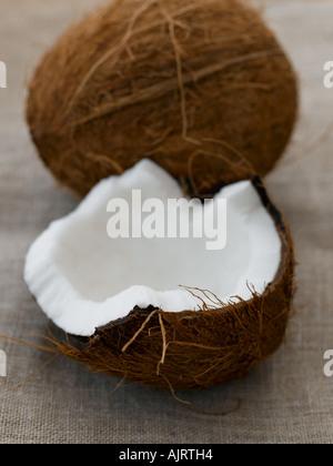 Coconut - haut de gamme image numérique Hasselblad 61Mo Banque D'Images