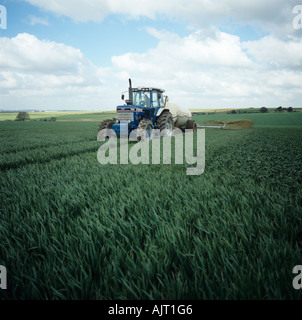 Tracteur avec Tramspreader lisier l'épandage des engrais organiques sur les cultures de blé Hampshire Banque D'Images
