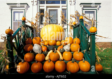 La Nouvelle-Écosse, Canada grande Halloween pumpkins empilés sur chambre véranda de Howard Dill s pumpkin farm Banque D'Images