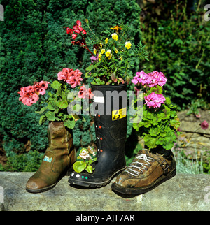 Chaussures de fleurs dans un jardin privé d'une maison à Atworth Melksham Wiltshire England UK UE Banque D'Images