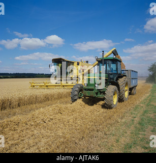 Moissonneuse-batteuse New Holland la récolte d'une culture de blé mûr et de déchargement des grains Banque D'Images
