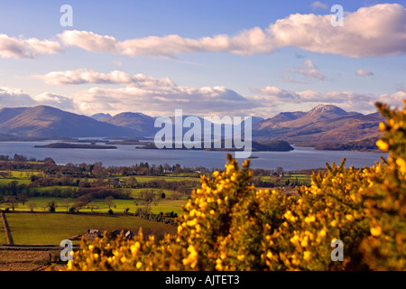 Au début du printemps SUR LE LOCH LOMOND DE DRUMGOYNE HILL Banque D'Images