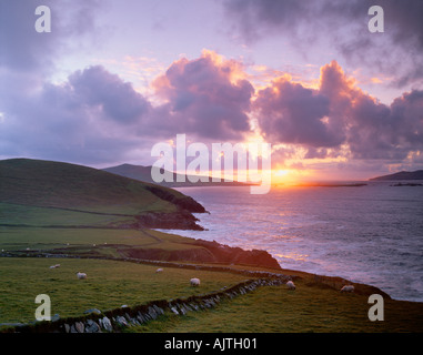 Le comté de Kerry Irlande Coucher de soleil sur son Blasket Islands Blasket à partir de la péninsule de Dingle Banque D'Images