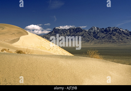Dunes de Kelso, Providence Montagnes en distance, désert de Mojave, Mojave National Preserve, California, USA Banque D'Images