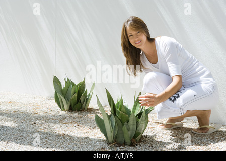 Woman crouching par plantes serpent (sansevieria trifasciata) plantés dans du gravier, smiling at camera, pleine longueur Banque D'Images